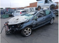 peugeot 407 (6d_) del año 2004