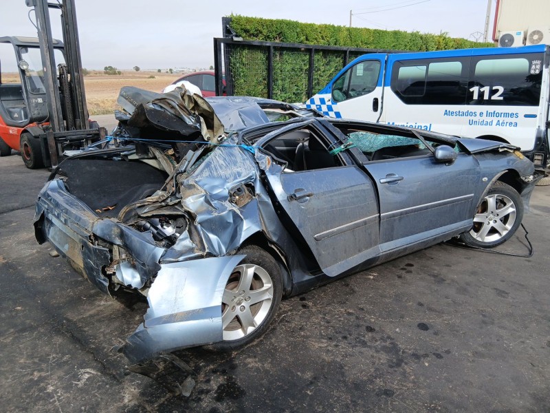 peugeot 407 (6d_) del año 2004