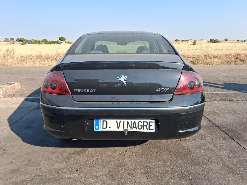 peugeot 407 (6d_) del año 2005