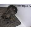 Recambio de bomba direccion para audi 90 2.2 g/kv referencia OEM IAM 2279344 026145155B 