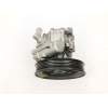Recambio de bomba direccion para bmw 5 (e39) 525 tds referencia OEM IAM 1092744 7691974507 
