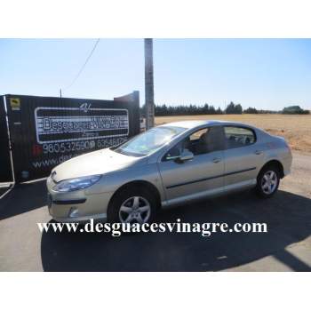 PEUGEOT 407 (6D_)