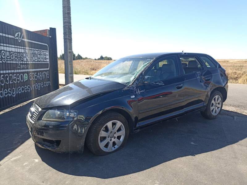 AUDI A3 (8P1)