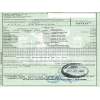ford transit connect (p65_, p70_, p80_) del año 2004